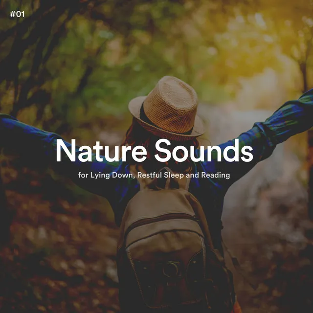 #01 Nature Sounds for Lying Down, Restful Sleep and Reading