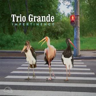 Impertinence by Trio Grande