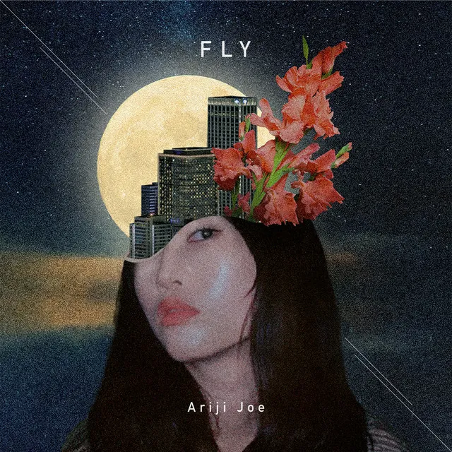 Fly