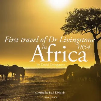 First travel of Dr Livingstone in Africa by Livingstone