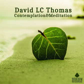 Contemplation & Meditation by DAVID LC THOMAS