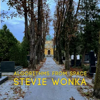 lost in some by Stevie Wonka