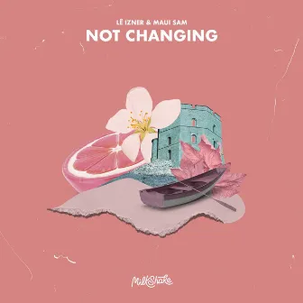 Not Changing by LÊ IZNER