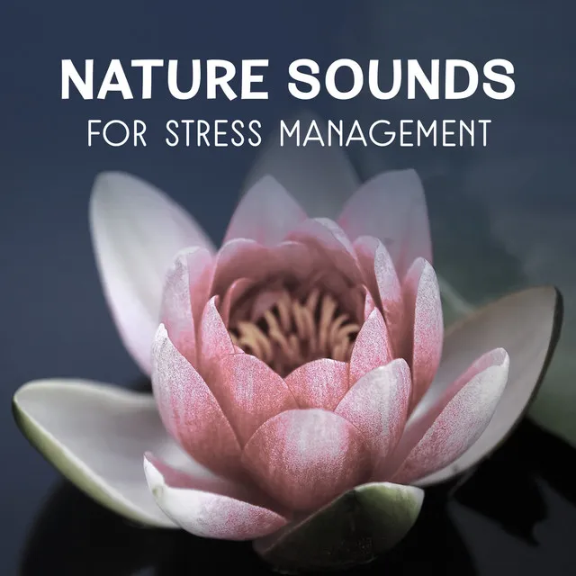 Nature Sounds for Stress Management – Calming Sounds, Inner Harmony, Self Hypnosis Therapy, Healing Natural Meditation, Music for Deep Sleep