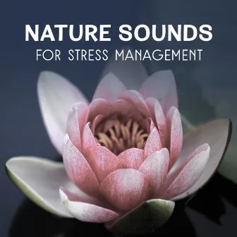 Nature Sounds for Stress Management – Calming Sounds, Inner Harmony, Self Hypnosis Therapy, Healing Natural Meditation, Music for Deep Sleep by Natural Treatment Zone