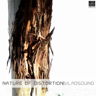 Nature of Distortion by Vla DSound