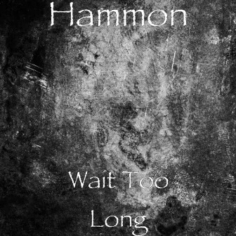 Wait Too Long by Hammon