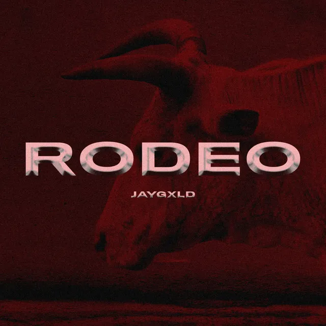 Rodeo