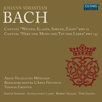 Bach: Cantatas, BWV 12 & 147 by Arcis-Vocalisten Munich