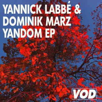 Yandom EP by Yannick Labbé