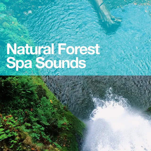 Natural Forest Spa Sounds