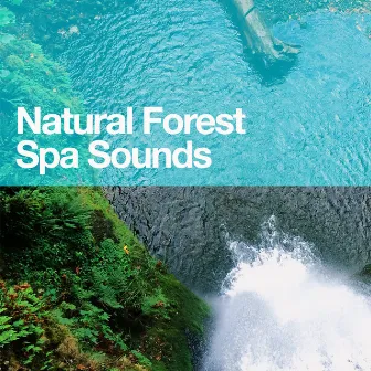 Natural Forest Spa Sounds by Unknown Artist