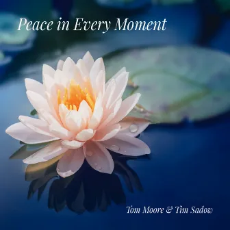 Peace in Every Moment by Tom Moore