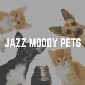 Jazz Moody Pets by Jazz for Dogs