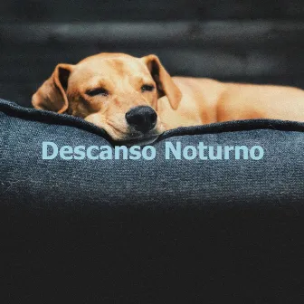 Descanso Noturno by Relaxamento Sons da Natureza Ruído Branco Musicas Clube