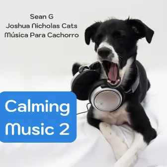 Calming Music 2 by Música Para Cachorro