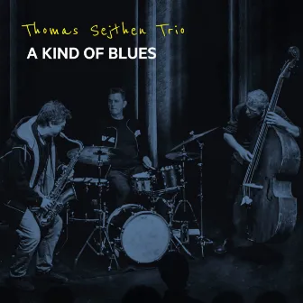 A Kind of Blues by Thomas Sejthen Trio