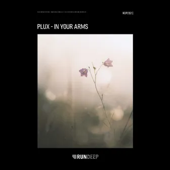 In Your Arms by PluX