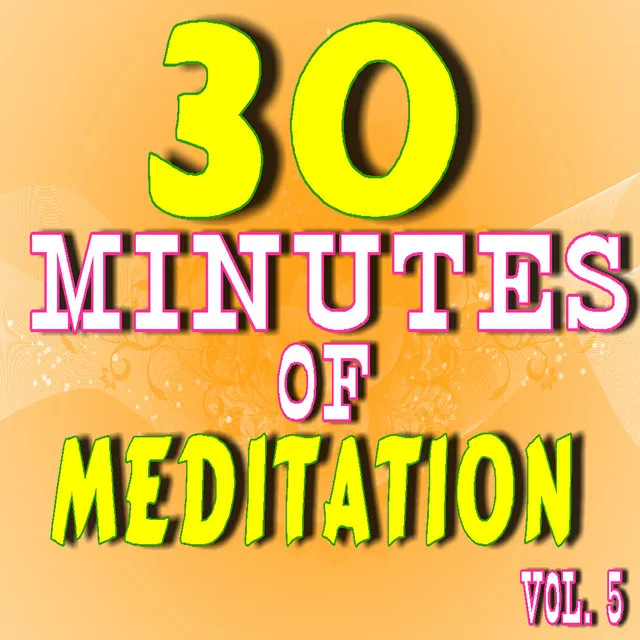 30 Minutes of Meditation, Vol. 5 (Special Edition)