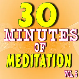 30 Minutes of Meditation, Vol. 5 (Special Edition) by Tim Lewis