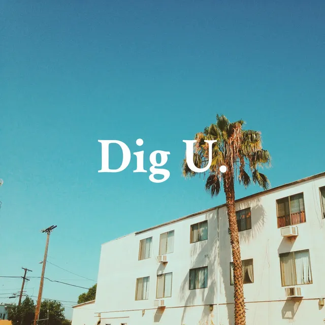 Dig U