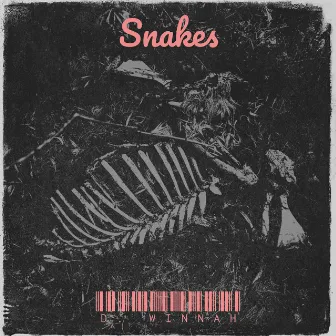 Snakes by D. Winnah