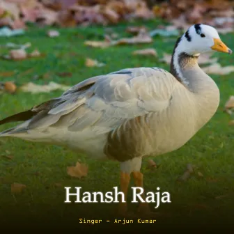 Hansh Raja by Arjun Kumar