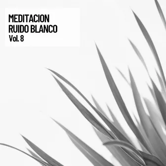 Meditacion Ruido Blanco vol. 8 by Universo De Latidos Binaurales