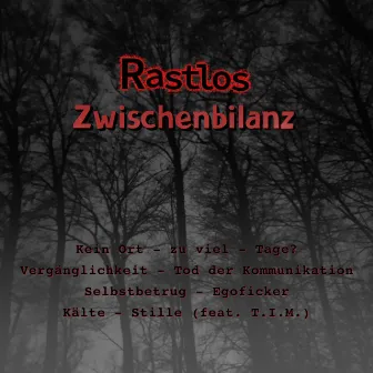 Zwischenbilanz by Rastlos