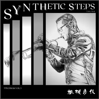 TTechmak Vol.3 Synthetic Steps by TTechmak