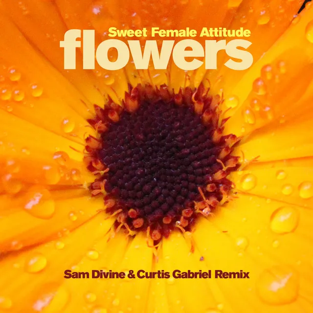 Flowers - Sam Divine & Curtis Gabriel Radio Edit