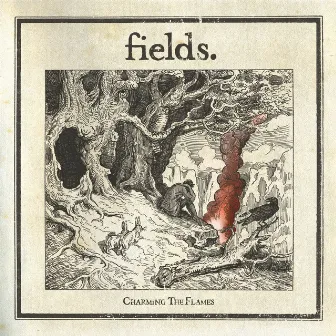 Charming The Flames [Acoustic Version] by Fields