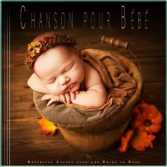 Chanson pour Bébé : Berceuses Calmes pour Les Rêves de Bébé by Unknown Artist