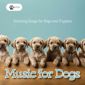 Music for Dogs - Relaxing Songs for Dogs and Puppies by Dog Therapy Zone