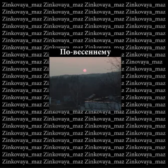 По-весеннему (Acoustic) by Zinkovaya_maz