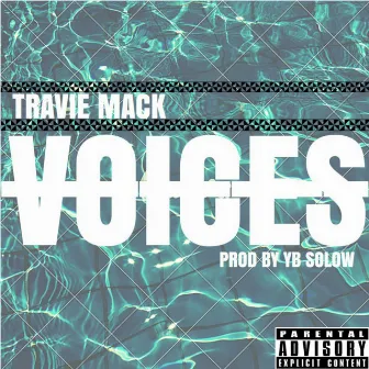 Voices by Travie Mack