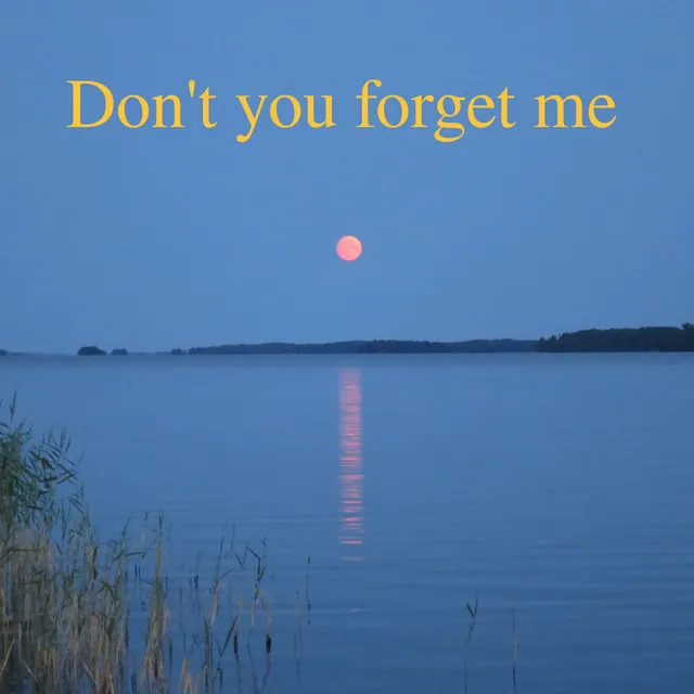 Don´t You Forget Me