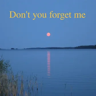 Don't You Forget Me by Bo Norin