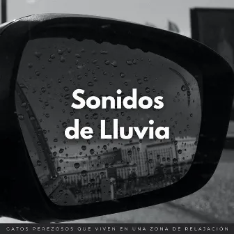 Sonidos De Lluvia: Gatos Perezosos Que Viven En Una Zona De Relajación by Estudio de música para gatos