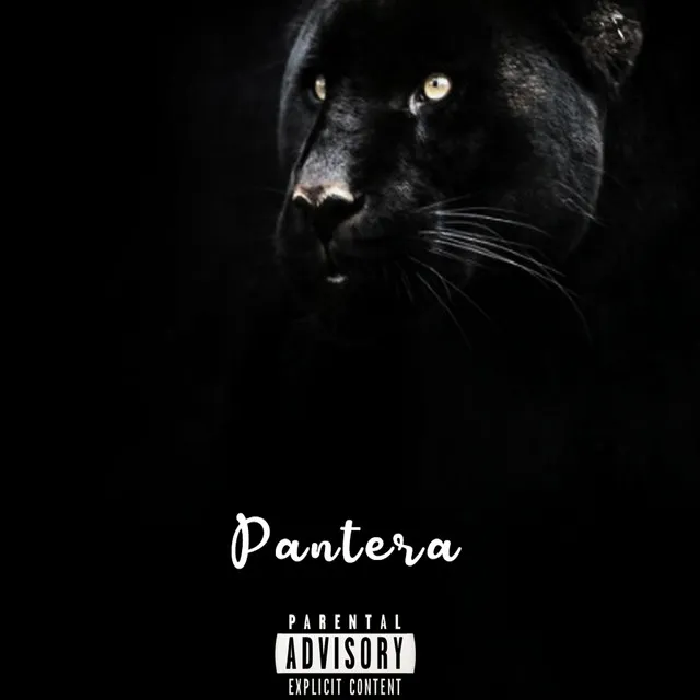 Pantera