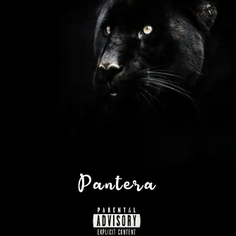 Pantera by Kamblade