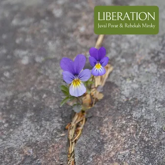 Liberation by Rebekah Mirsky