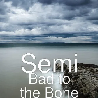 Bad to the Bone by Semi