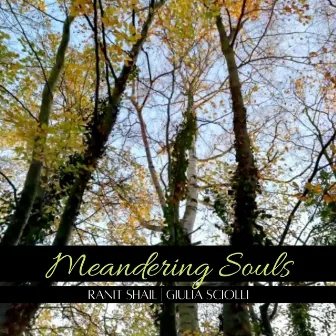 Meandering Souls by Ranit Shail