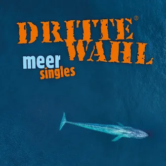 Meer Singles by Dritte Wahl