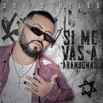 Si Me Vas a Abandonar by David Melek