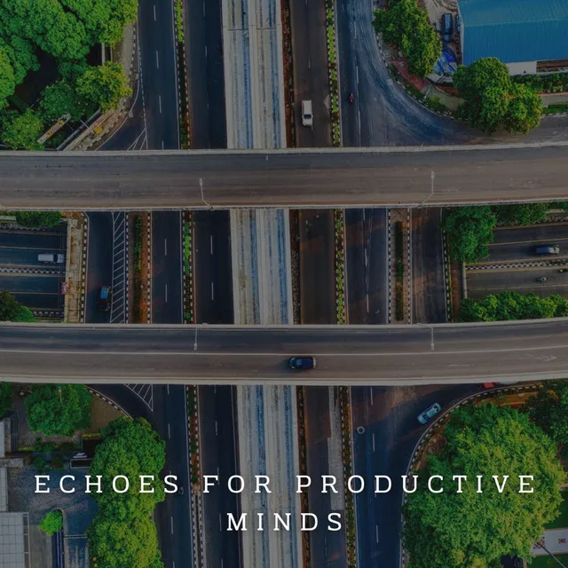 Echoes for Productive Minds