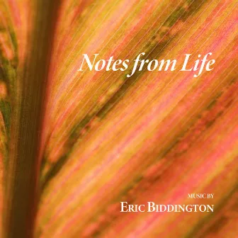 Notes From Life by Eric Biddington