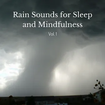 Rain Sounds for Sleep and Mindfulness Vol. 1 by Nature Music Nature Songs