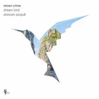 Dream Bird by Minor Crime